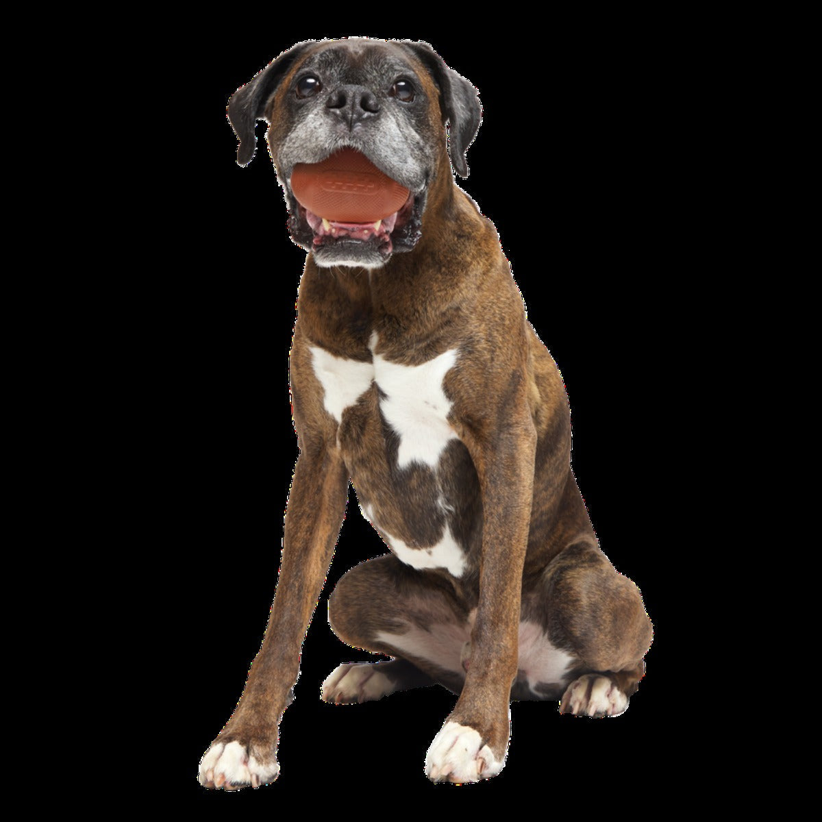 Chompionship Football Super Chewer Durable Fetch Dog Toy