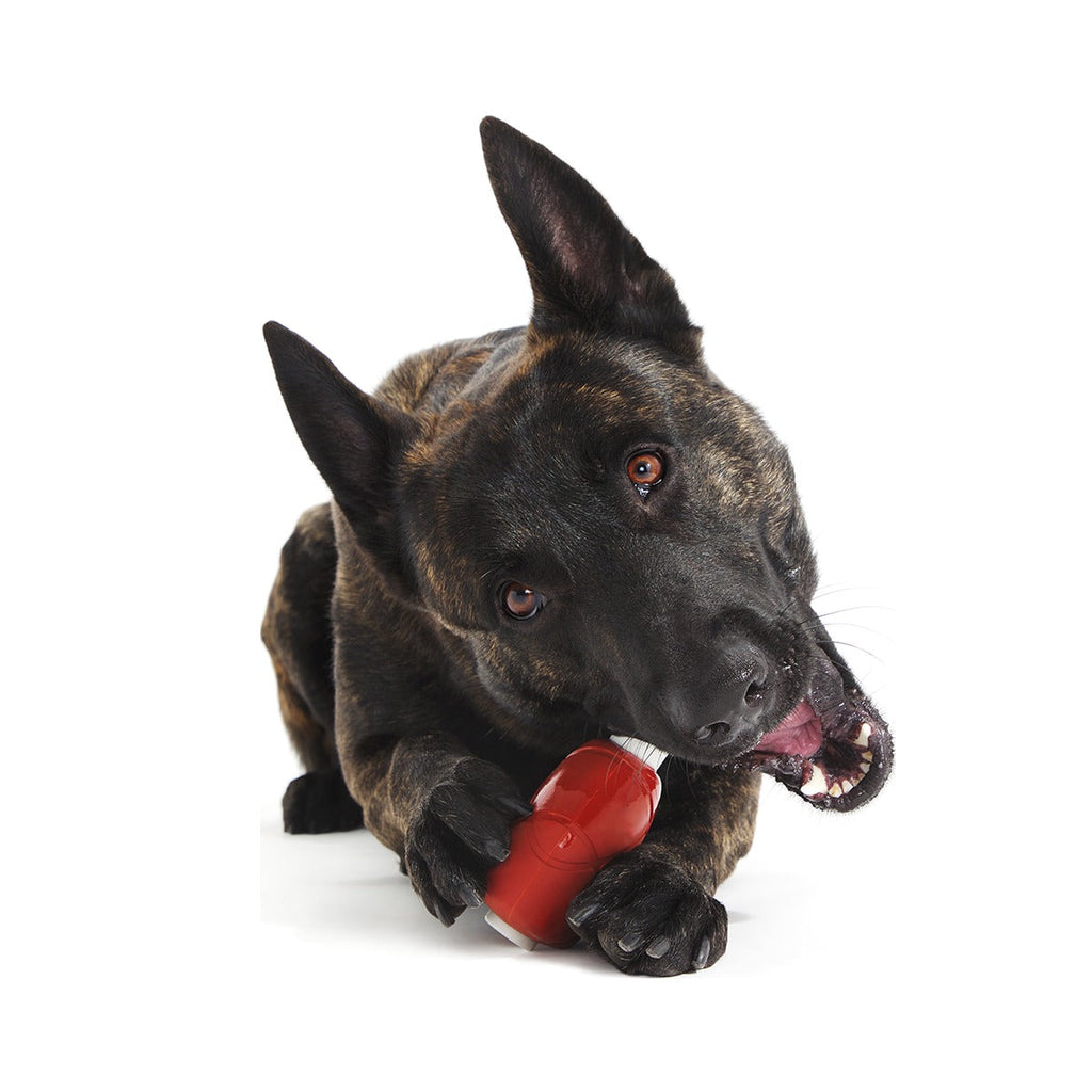 Hardy Ham Super Chewer Durable Gnaw Dog Toy