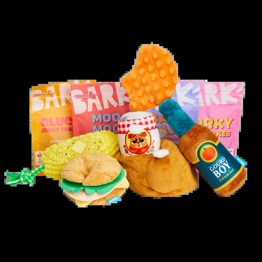 BARK 6 Month Subscription - FREE Extra Toys with Cardboard Box