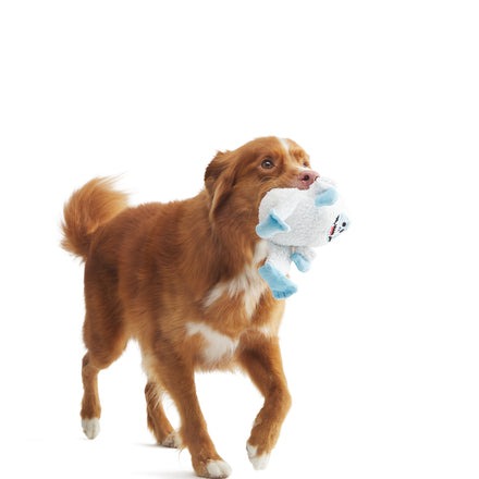 BumbleTM Plush Tug Dog Toy
