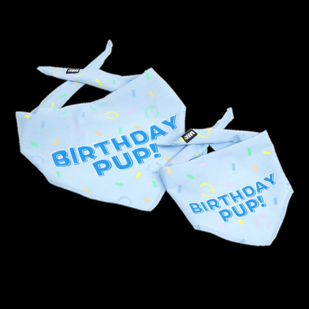 Birthday Dog Bandana