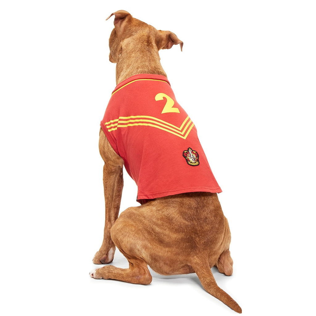 QuidditchTM Jersey