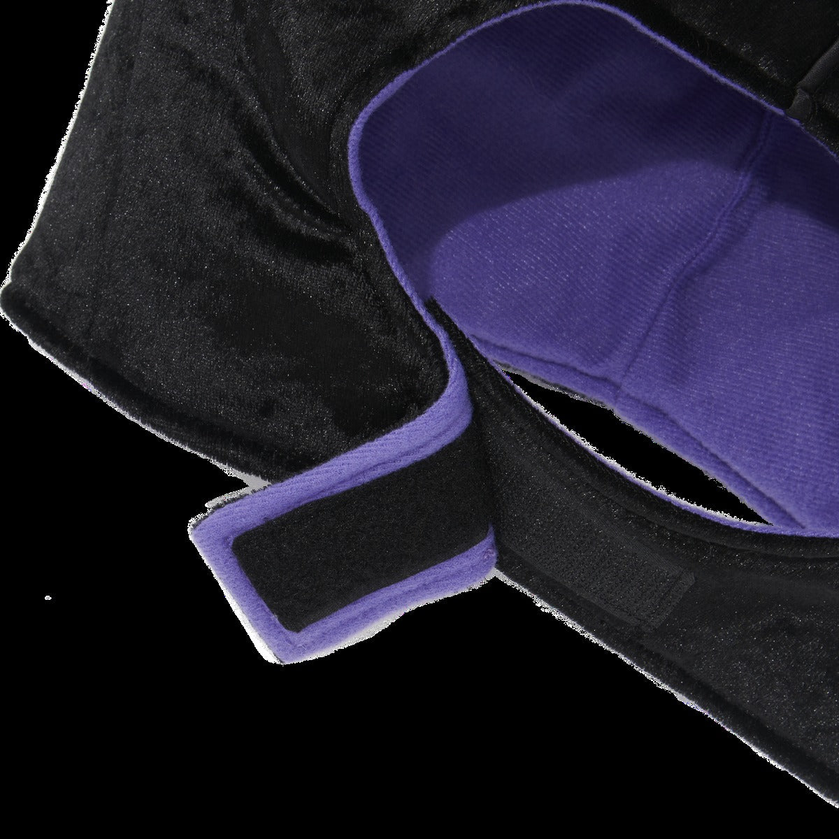Maleficent Dog Costume
