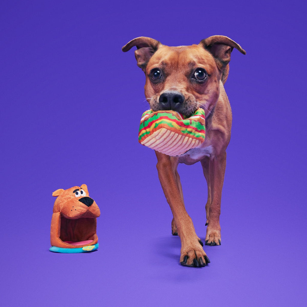 Snackin' ScoobyTM Plush Multi-Part + Enrichment Dog Toy