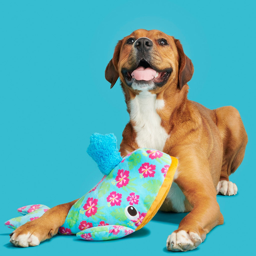 Hawaiian Humpbark Whale Plush Tug + Extra-Large Dog Toy
