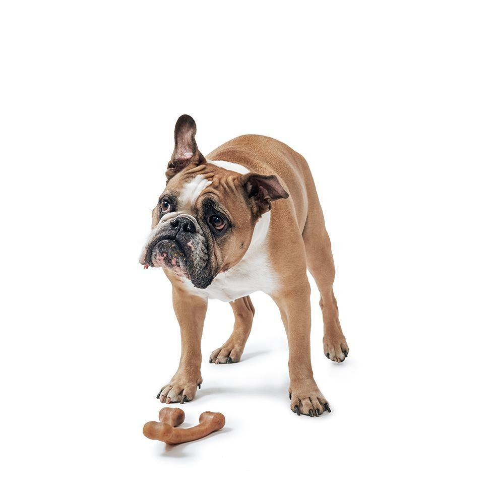 Bacon Benebone Durable Super Chewer Dog Toy