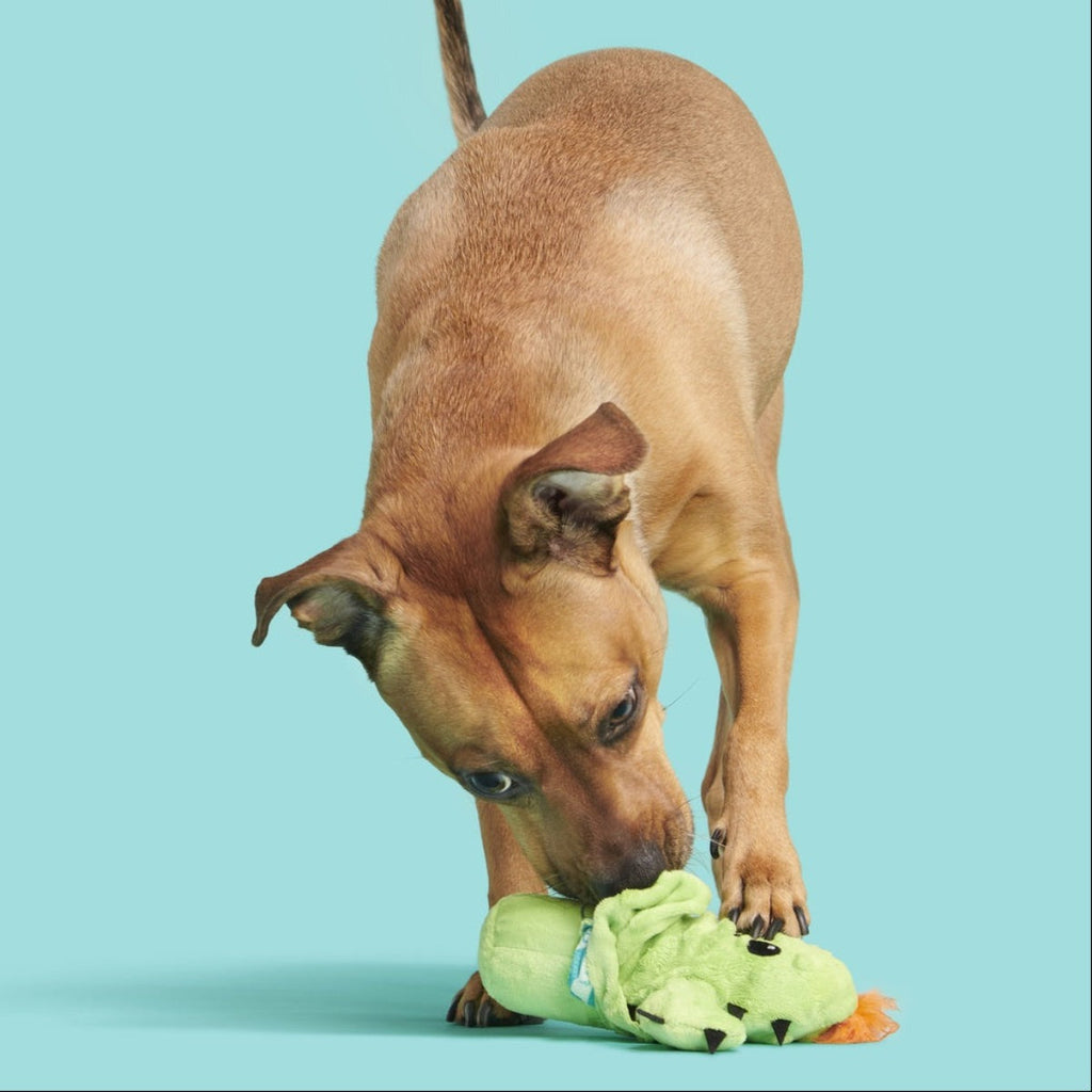 Prickly Pete Plush 2-in-1 Tug Dog Toy