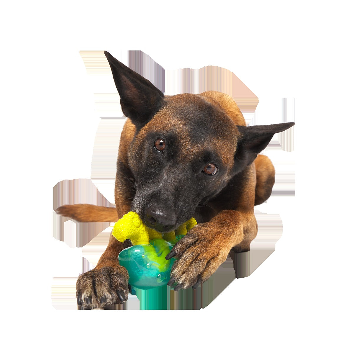 The Dogness Monster Super Chewer Durable Gnaw Dog Toy