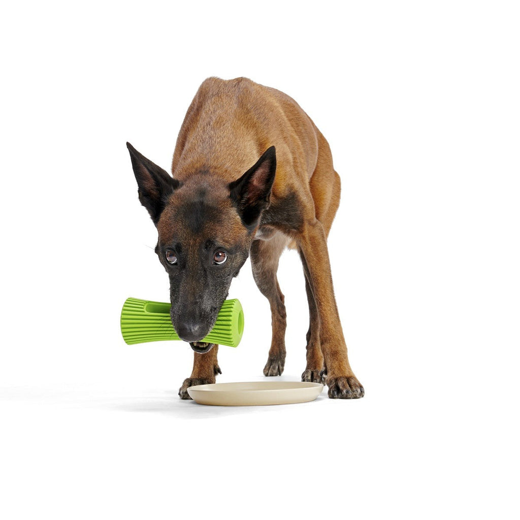 Celery Super Chewer Durable Fetch + Enrichment Dog Toy