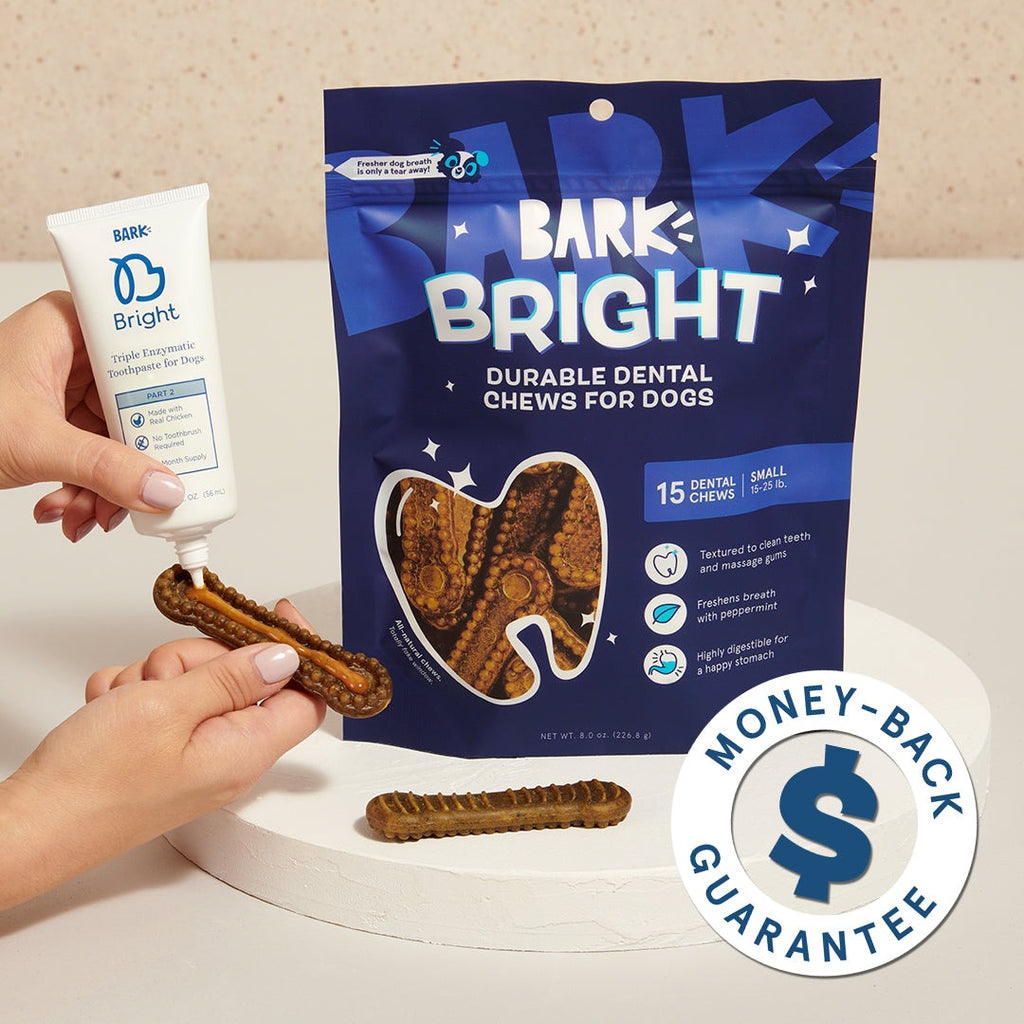 Bright Durable Dental Kit, 15 Ct Chews + Toothpaste
