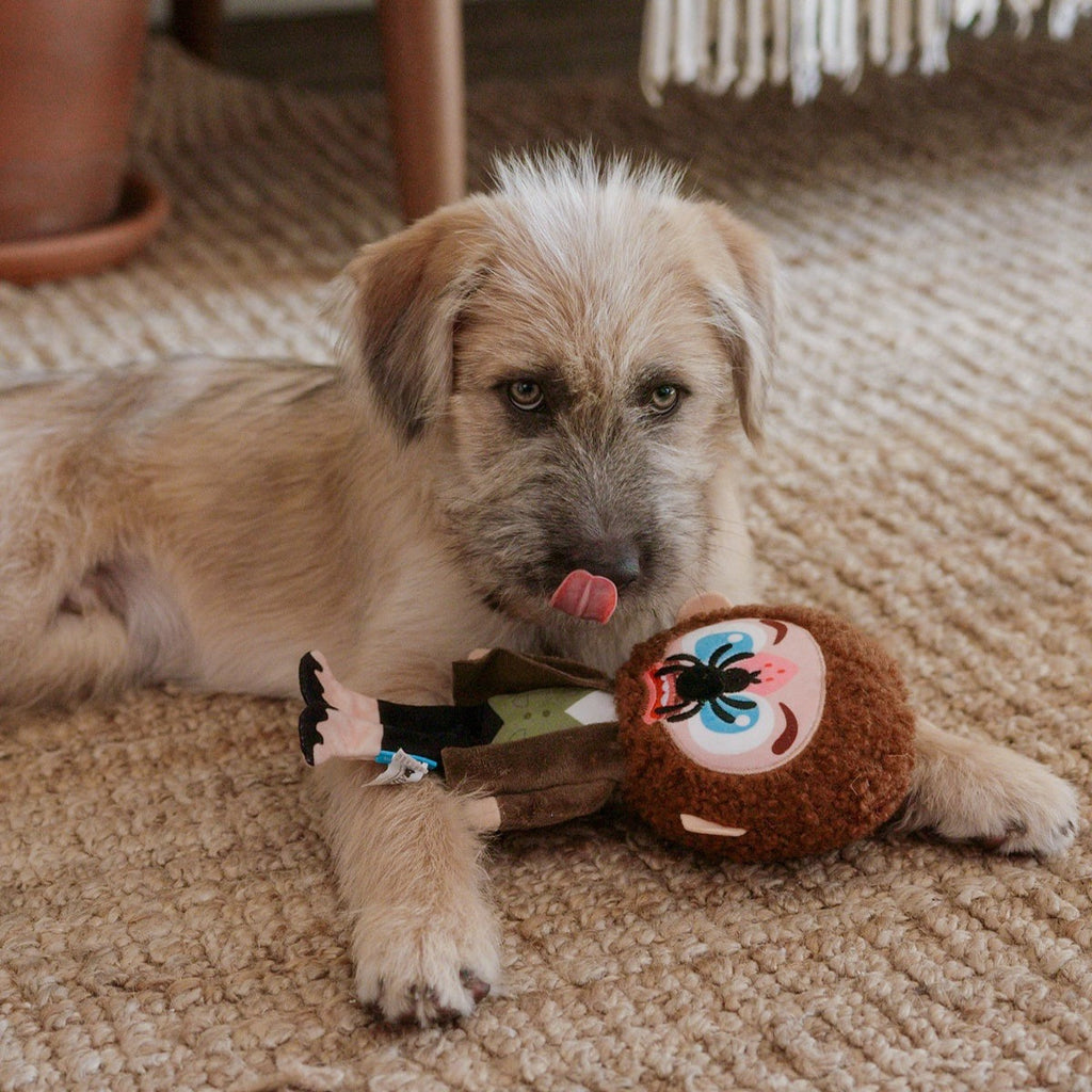 Marv Plush Tug Dog Toy