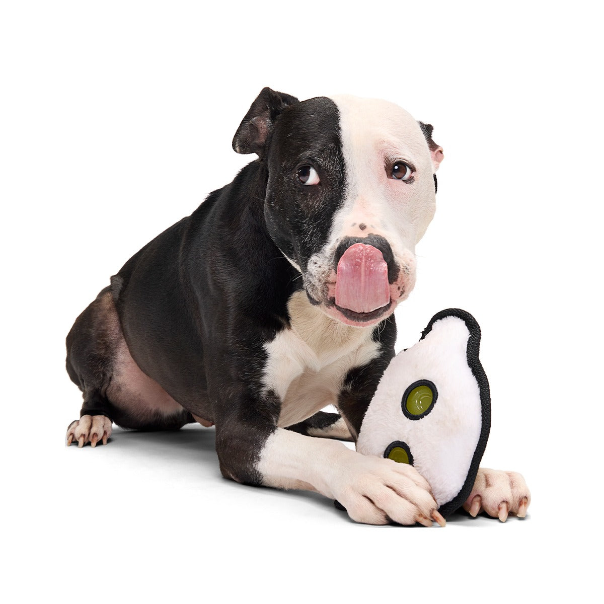 Scary Gary Super Chewer Durable 2-in-1 Dog Toy