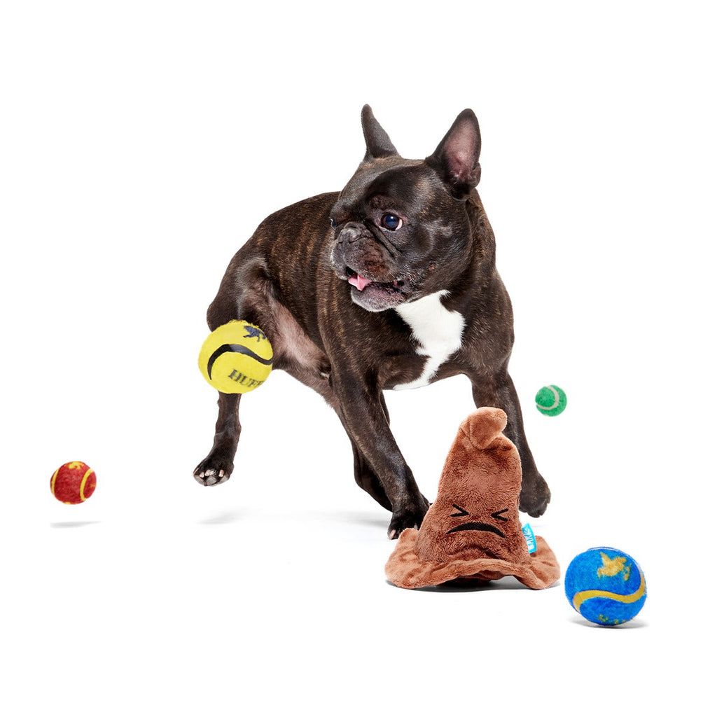 The Sorting HatTM Plush 2-in-1 + Fetch Dog Toy