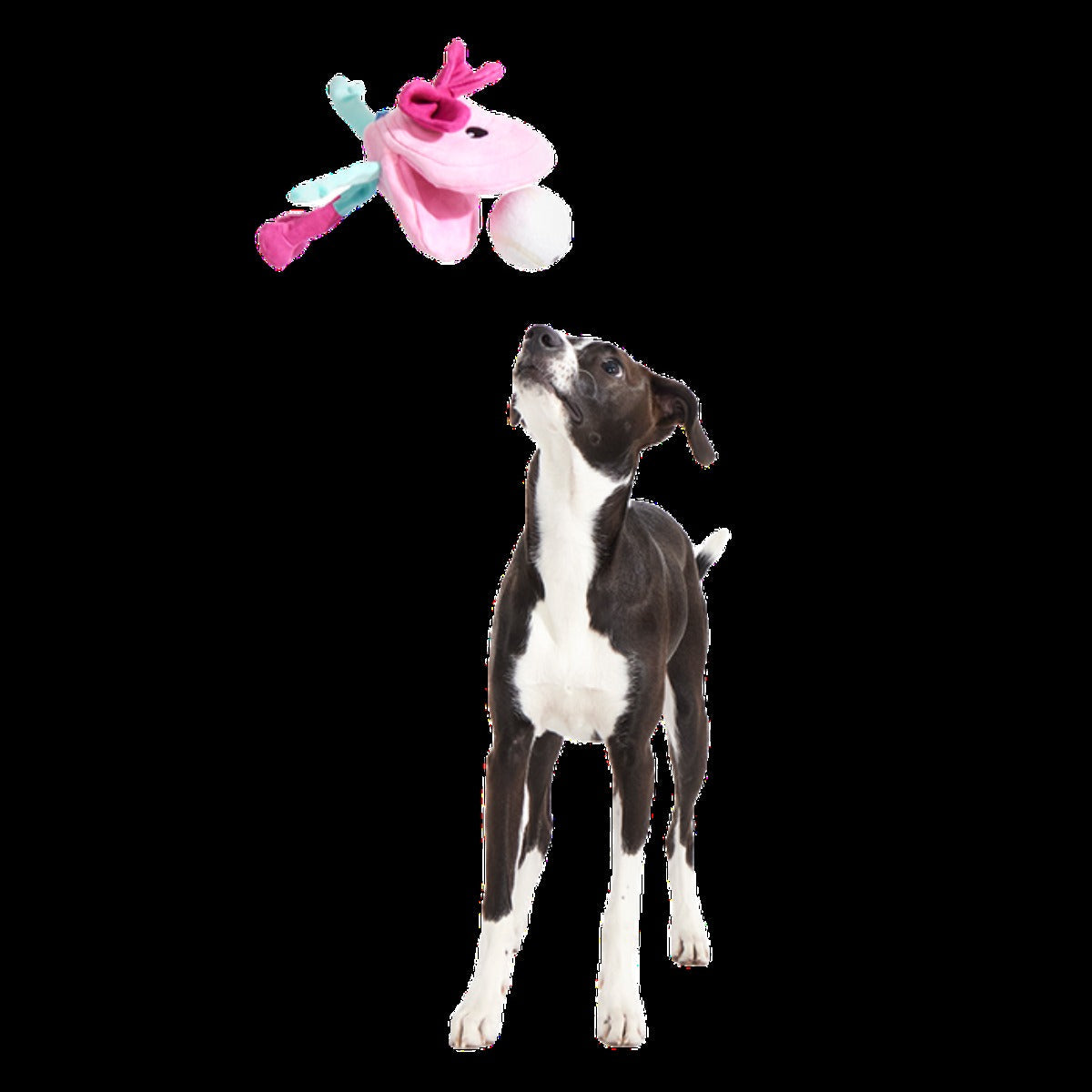 Clamantha Plush Multi-Part + Fetch + Enrichment Dog Toy