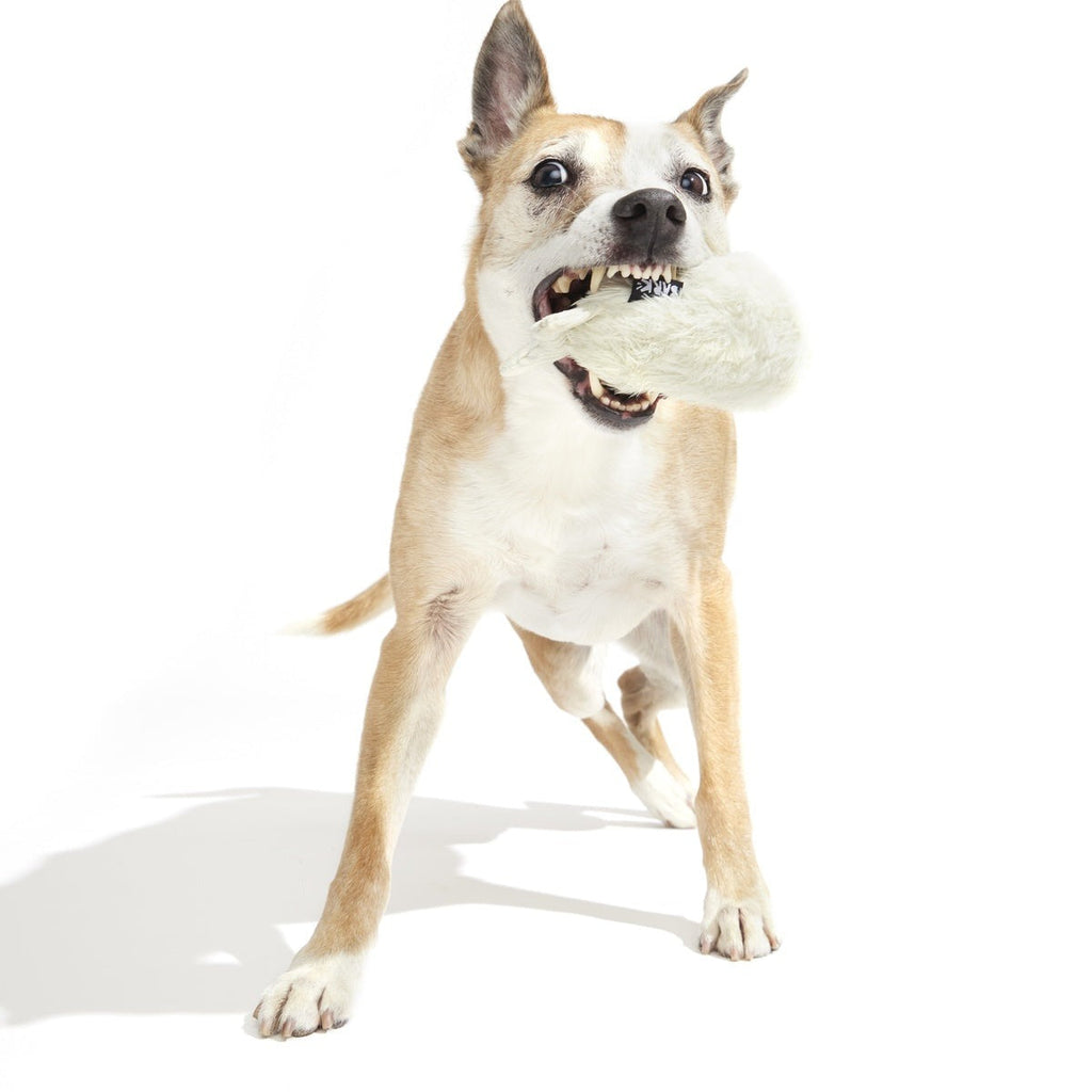 Seal Meal Super Chewer Durable 2-in-1 + Enrichment Dog Toy