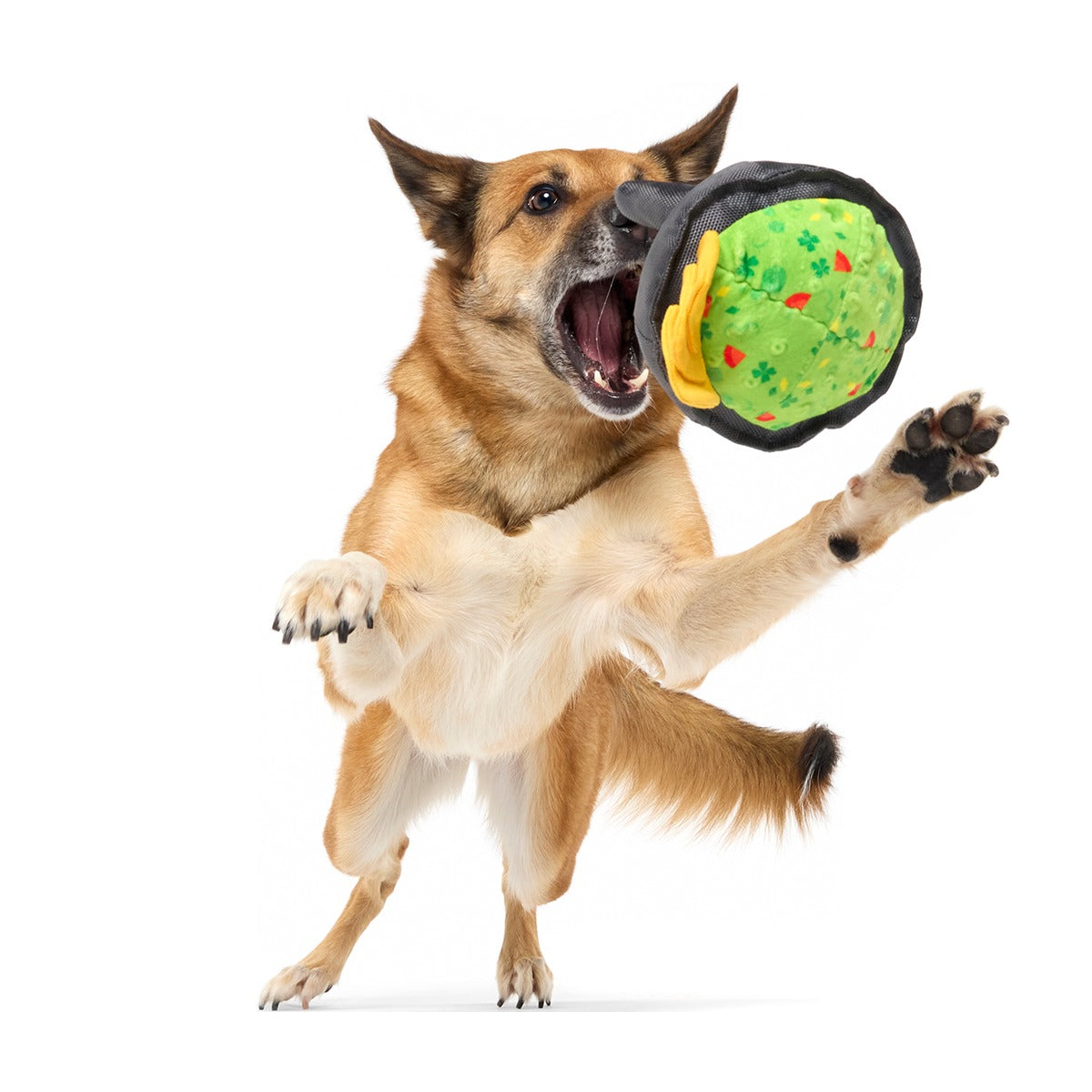 Stop, Guac, & Mole Plush Tug Dog Toy