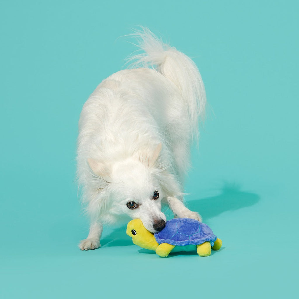 Tiago Tortuga Plush Tug Dog Toy