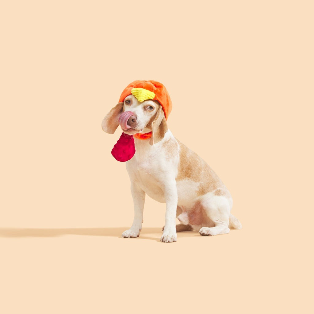 Gobble Head Plush Wearable Tug Dog Toy