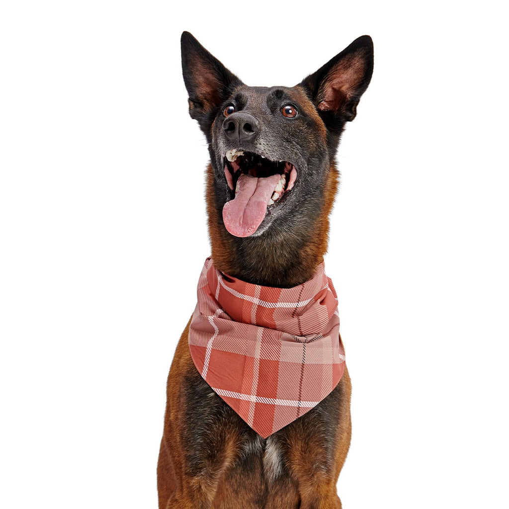 Fall Reversible Dog Bandana
