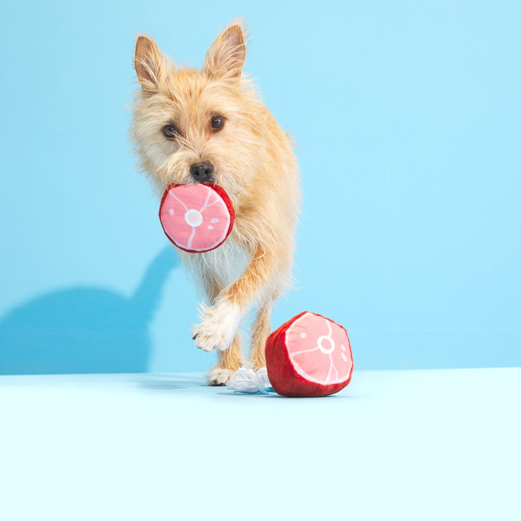 Wham Bam Ham Plush Tug Dog Toy