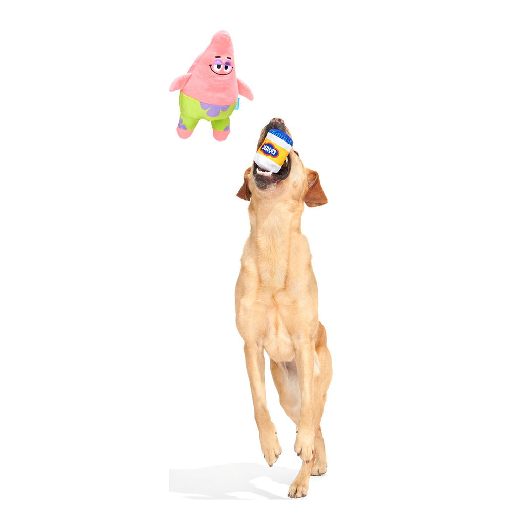 Patrick’s Squeakret Talent Plush 2-in-1 Dog Toy