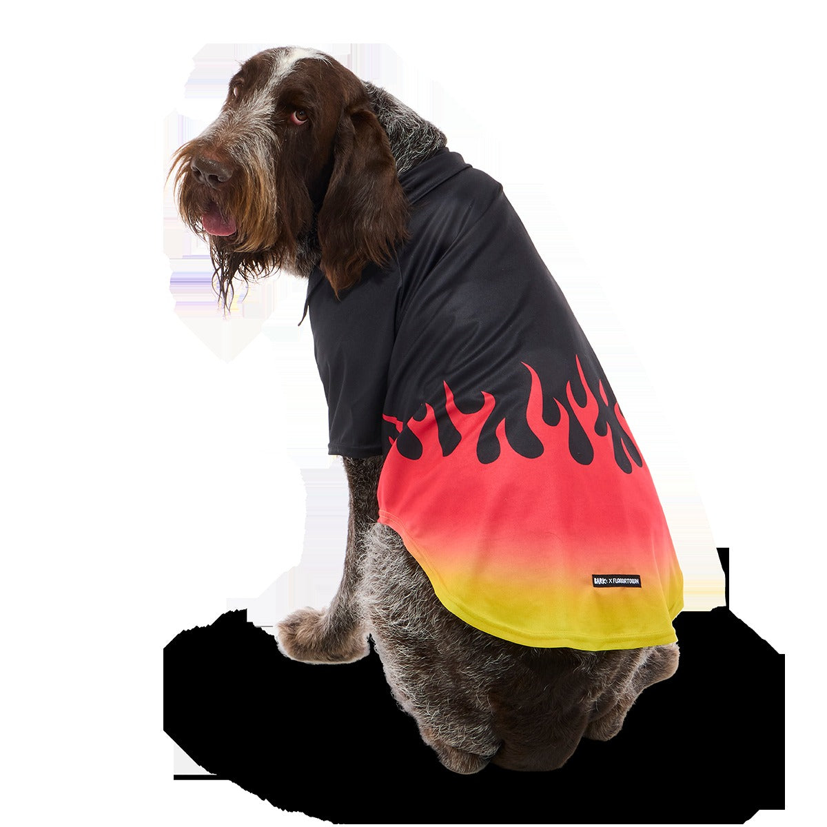 Flame Broiled Button-Down Dog Shirt