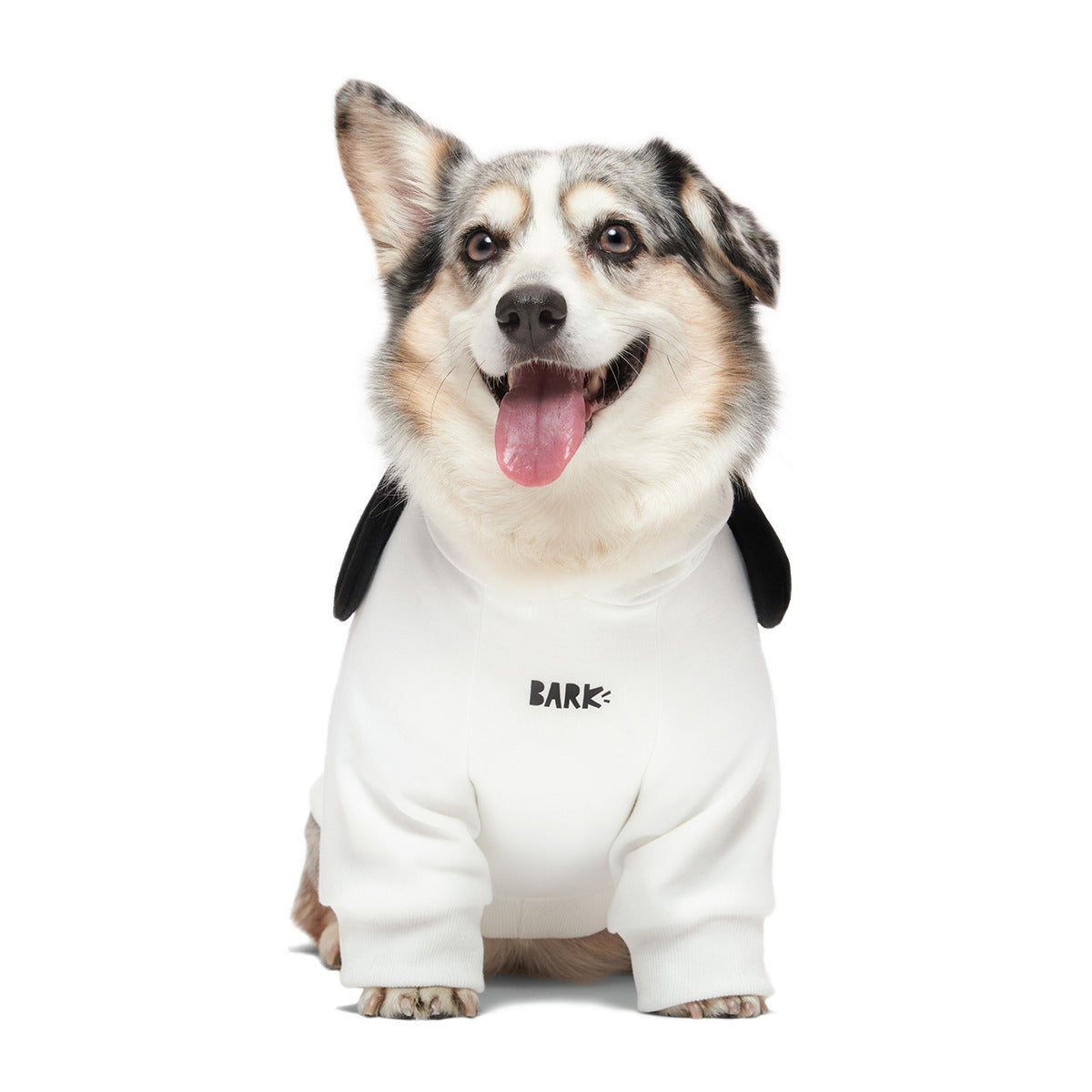 Snoopy Dog Hoodie