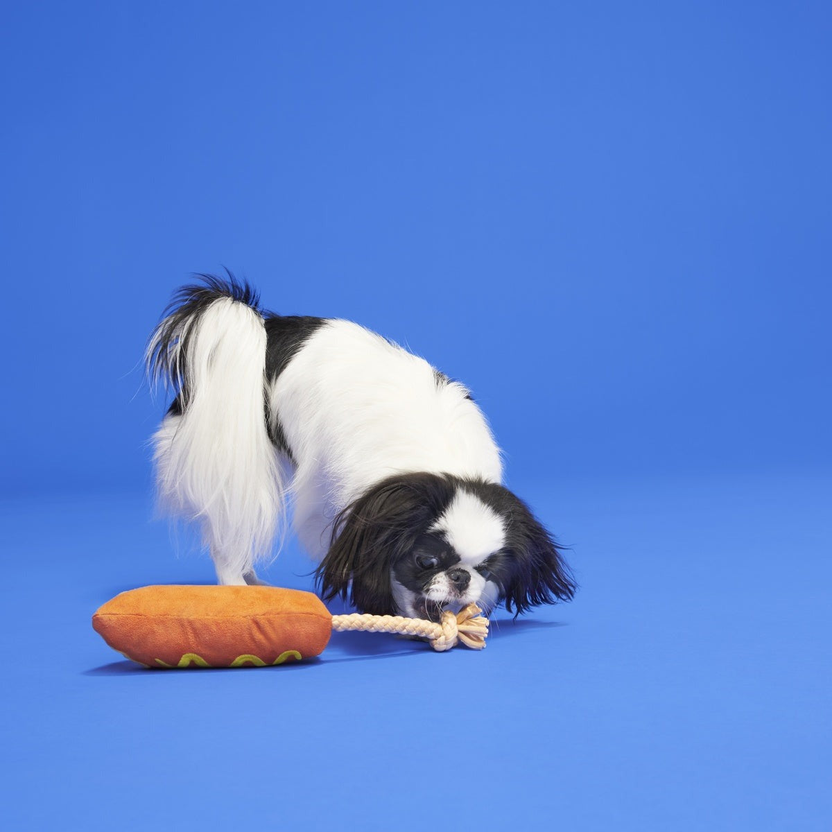 Corn Dog Tug Plush Rope Dog Toy