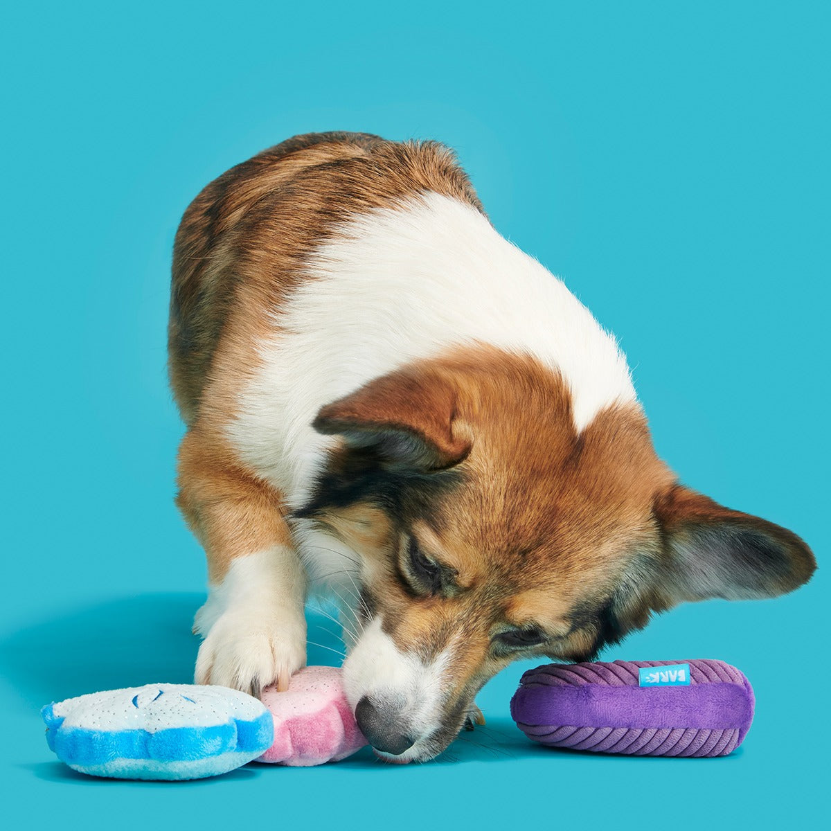 Fetchin' Squeakshells Plush Multi-Part Dog Toy
