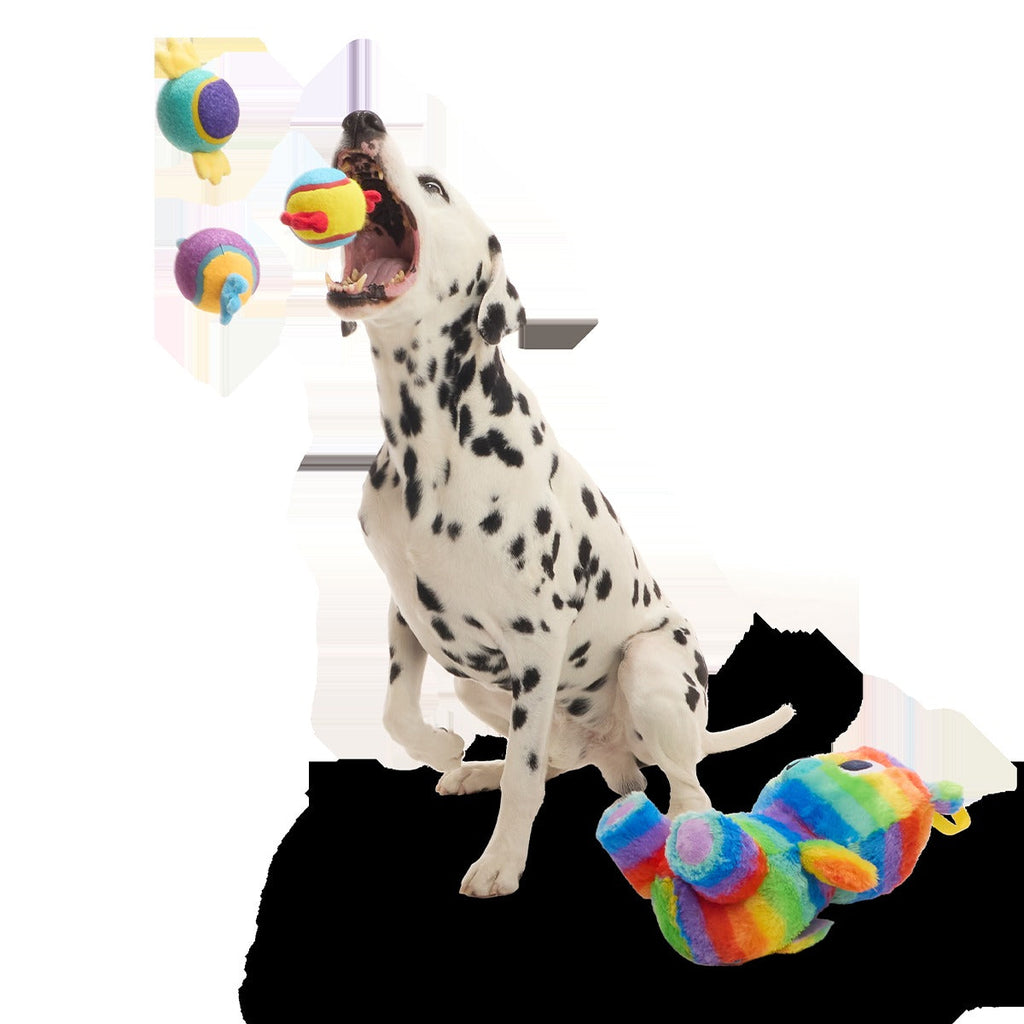 Buster the Piñata Plush Extra-Large + Multi-Part + Fetch Dog Toy