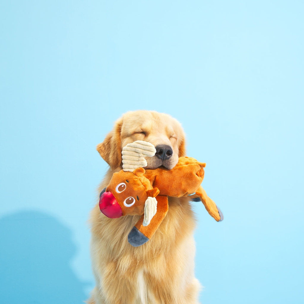 Rudy Reindeer Plush Tug Dog Toy