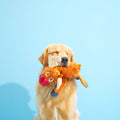 Rudy Reindeer Plush Tug Dog Toy