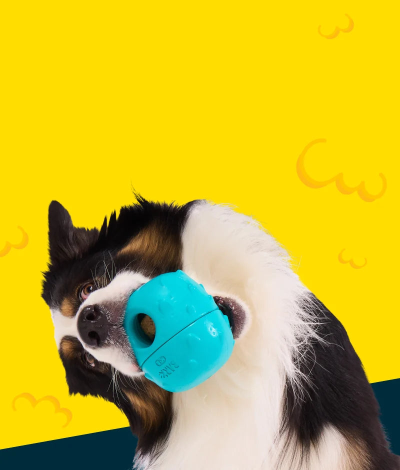 liuqs_job_169_home_03_2206594fa1.webp