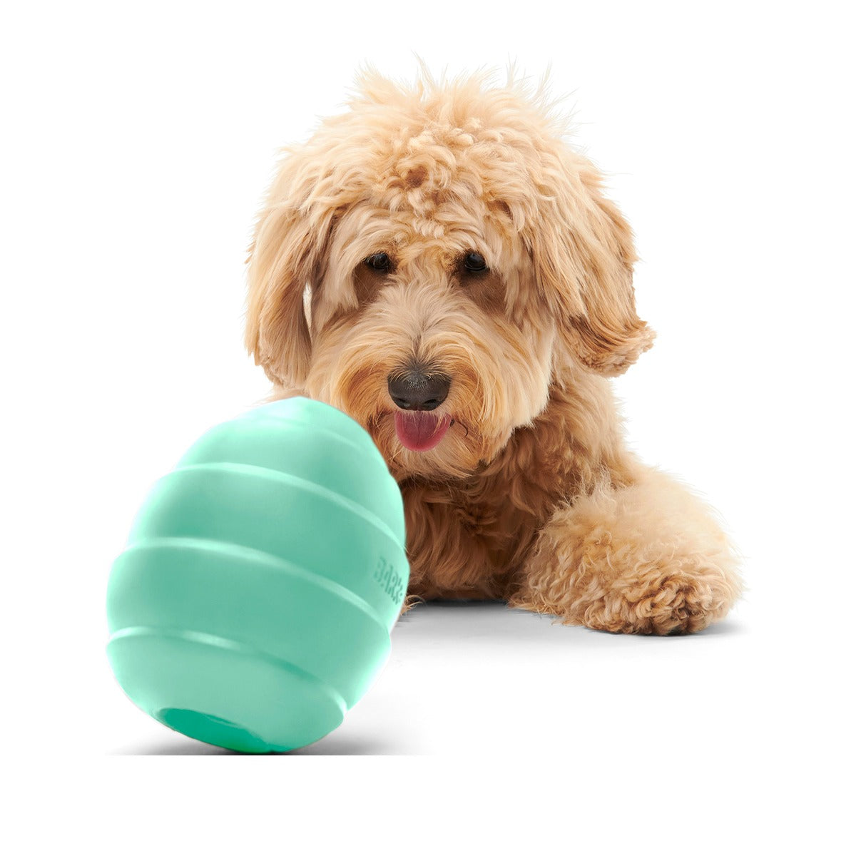 Pup's Treat Pinecone Super Chewer Durable Enrichment + Fetch Dog Toy