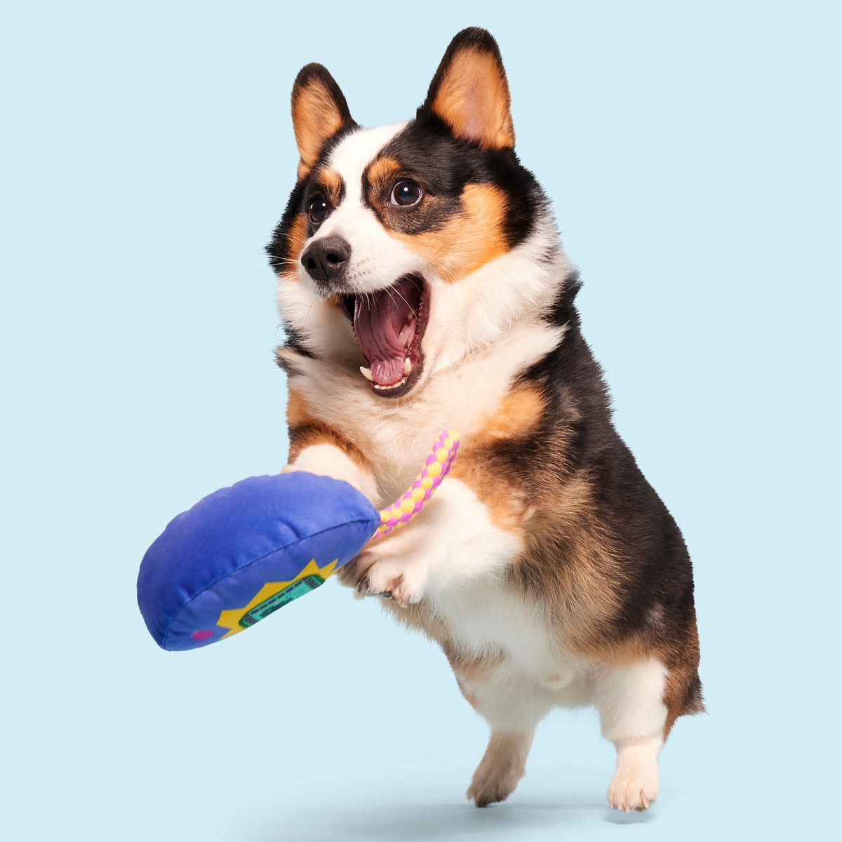 Gnawmagotchi Plush Tug Dog Toy