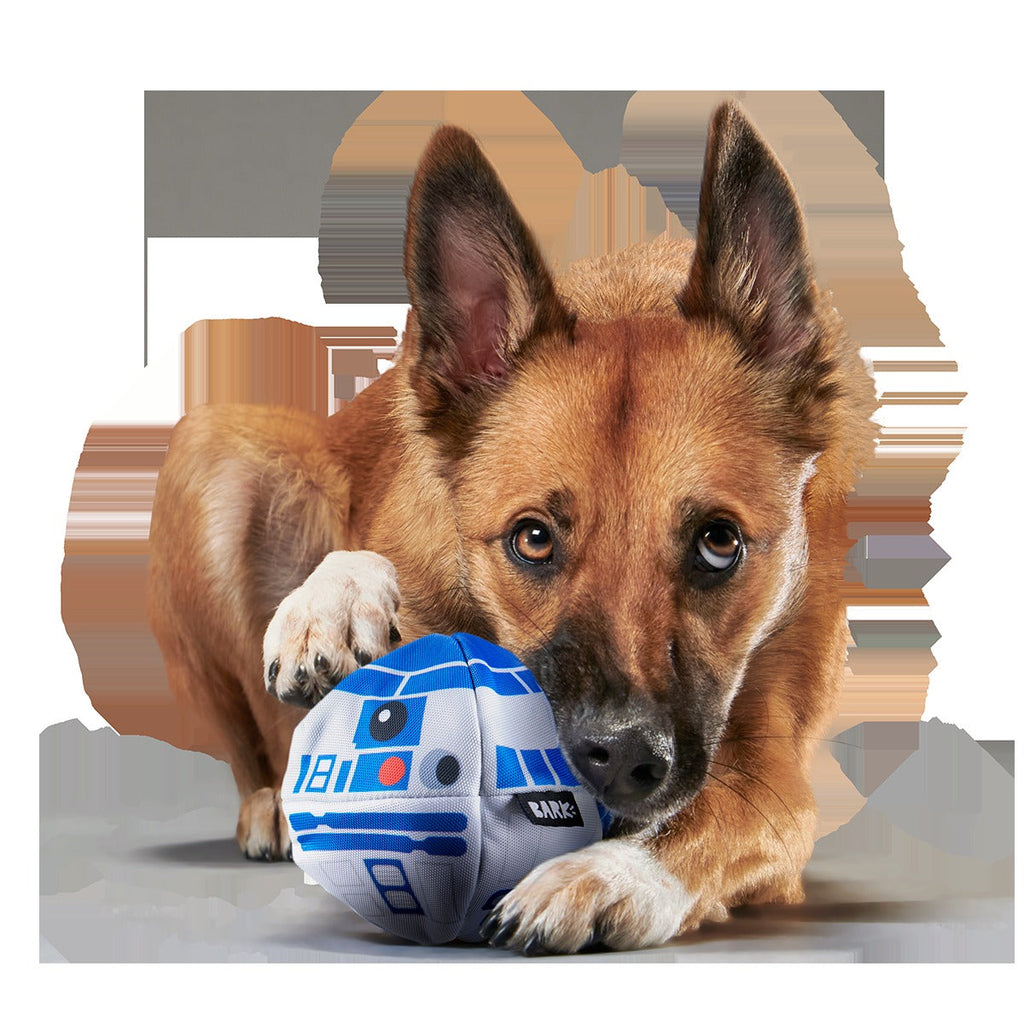 Chew Are My Only Hope Super Chewer Durable 2-in-1 + Fetch Dog Toy