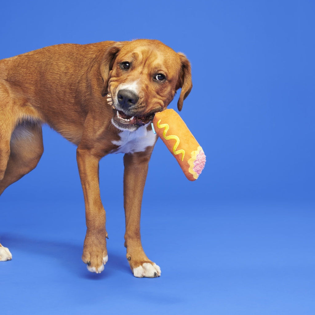 Corn Dog Tug Plush Rope Dog Toy