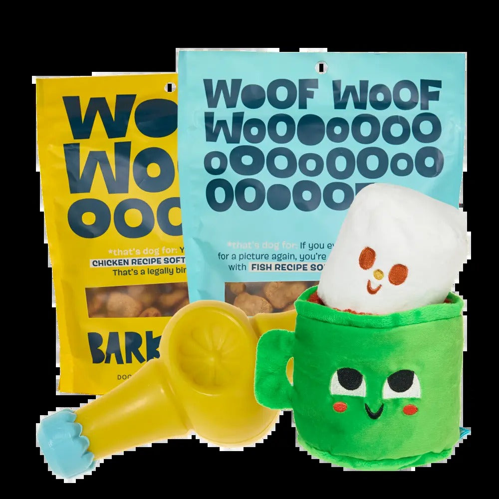 BARK 6 Month Subscription - FREE Extra Toys with Cardboard Box
