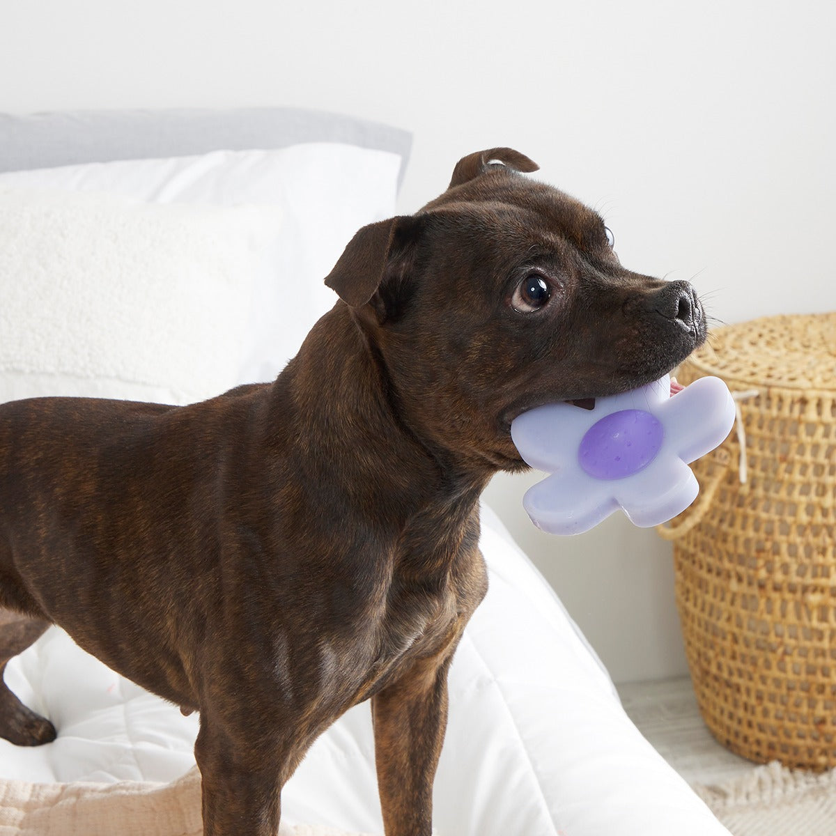 Power Flower Super Chewer Durable Gnaw Dog Toy