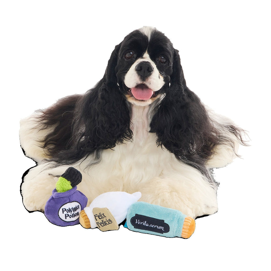 Potions Class PackTM Plush Multi-Part Dog Toy