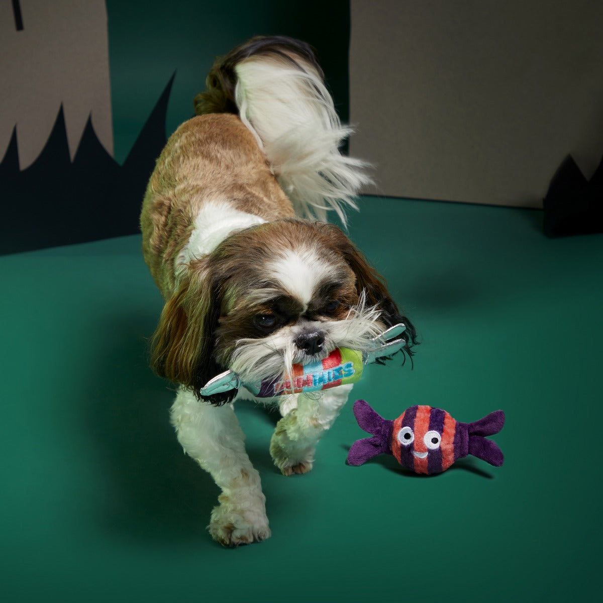 Sour Dummies Sweeties Plush Multi-Part Dog Toy