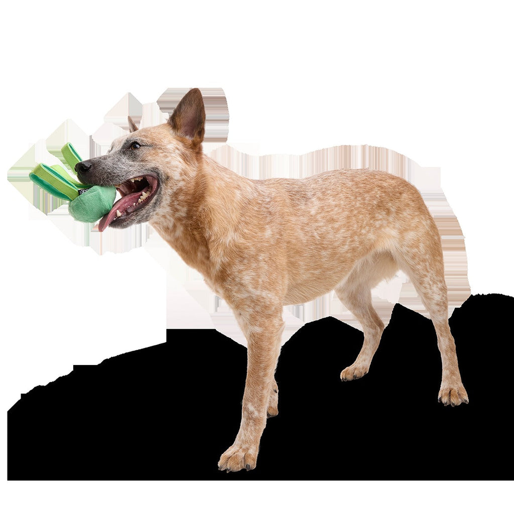 Galactopus Super Chewer Durable 2-in-1 + Tug Dog Toy