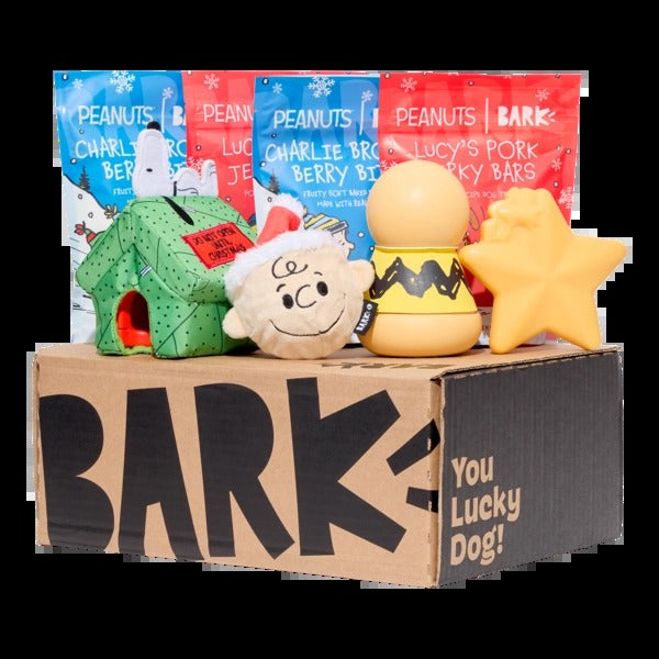 BARK 12 Month Subscription - Peanuts Double Deluxe First Box