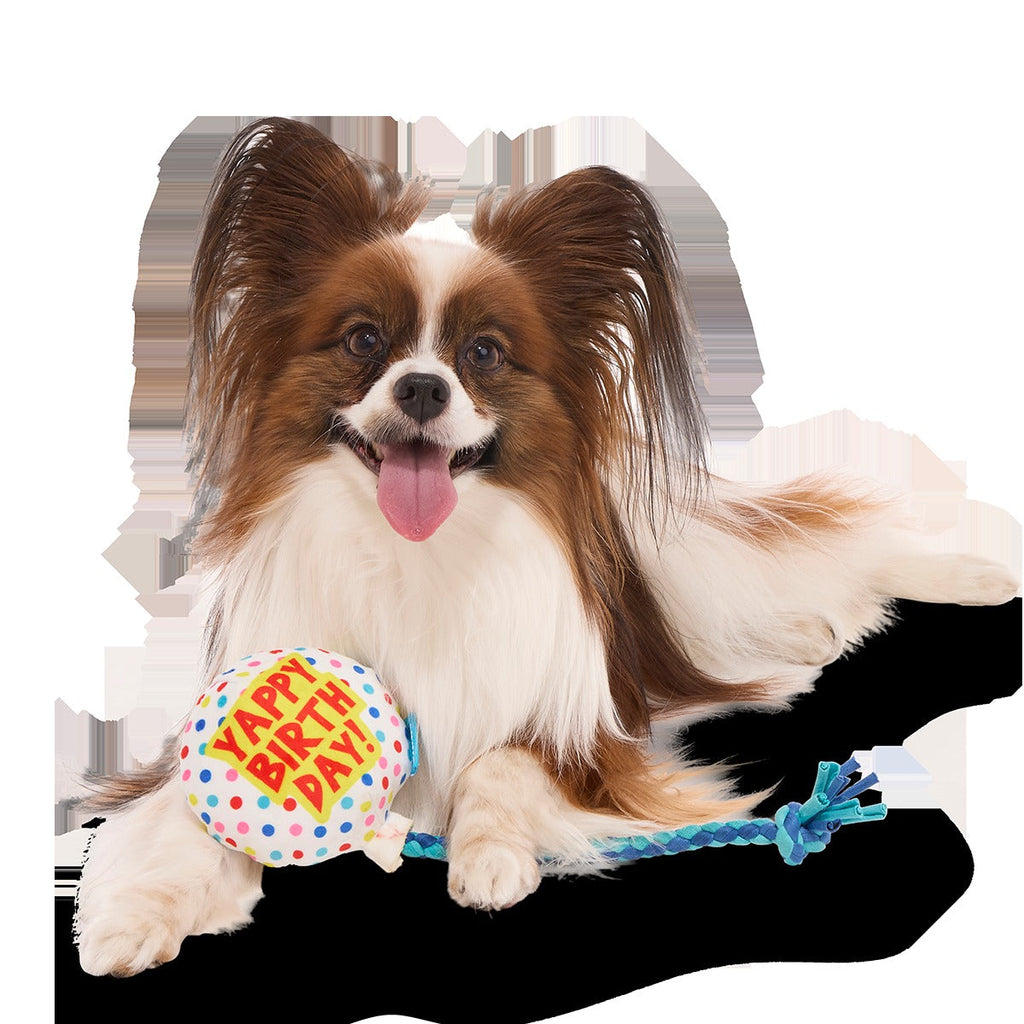 Yappy Birthday Balloon Plush Tug Dog Toy