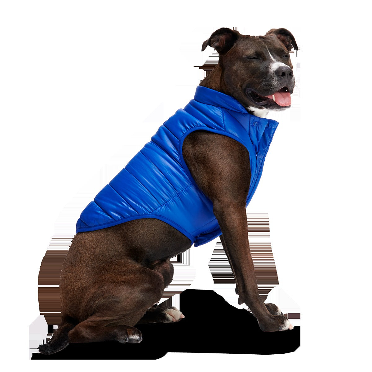 Puffer Dog Vest