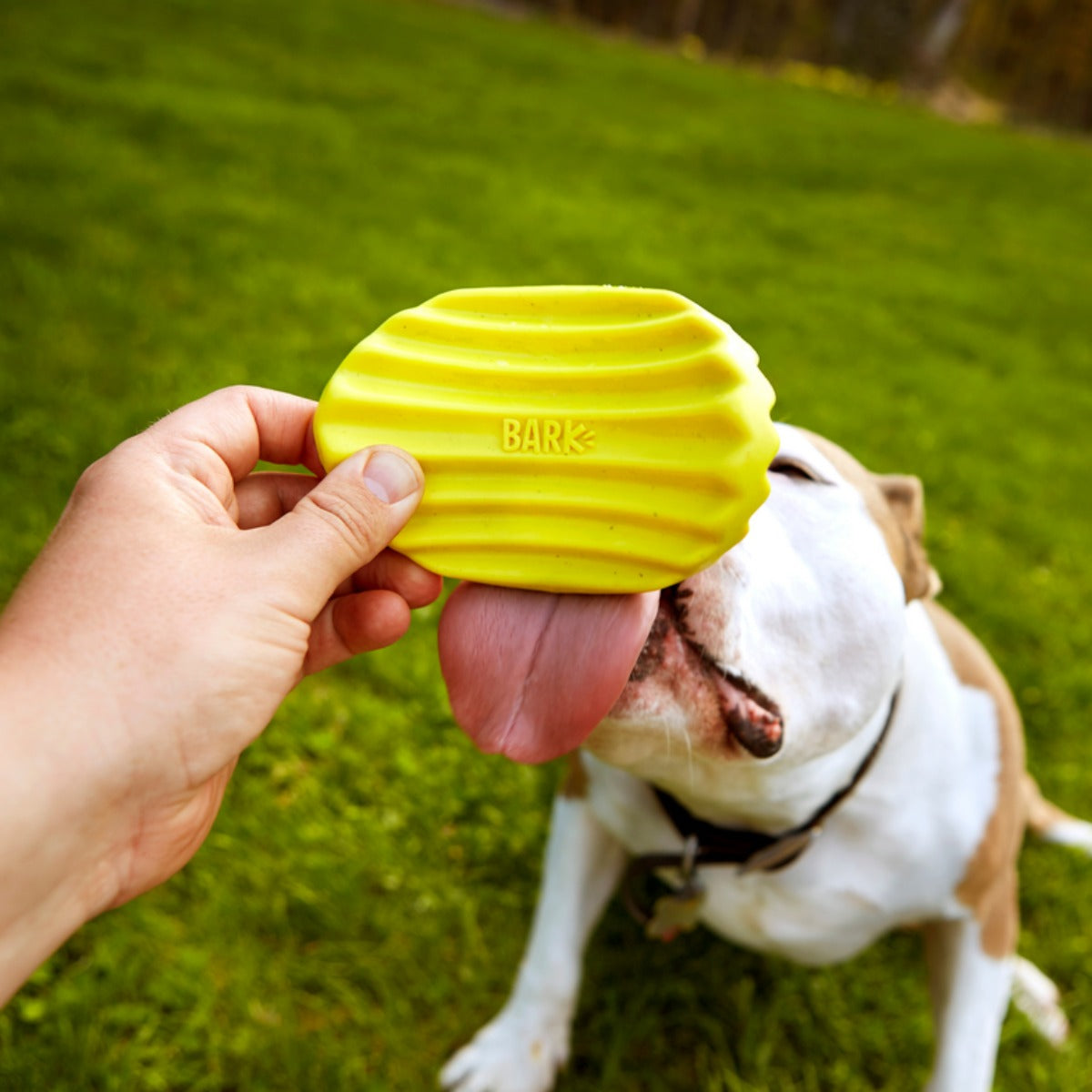 Tuffles Potato Chip Super Chewer Durable Gnaw Dog Toy