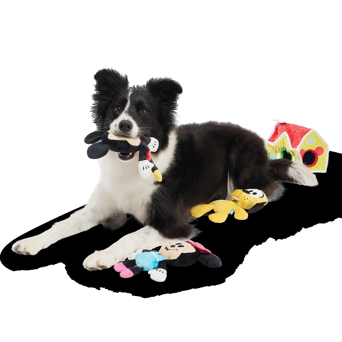 House of Mouse Plush Multi-Part + Enrichment Dog Toy