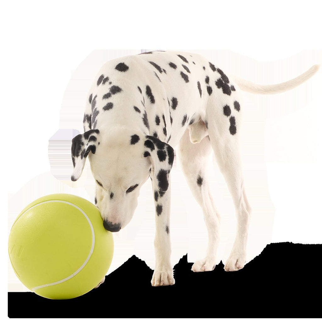 Chompianship Ball Super Chewer Durable Extra-Large + Fetch Dog Toy