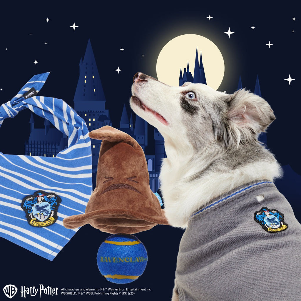 RavenclawTM Bundle