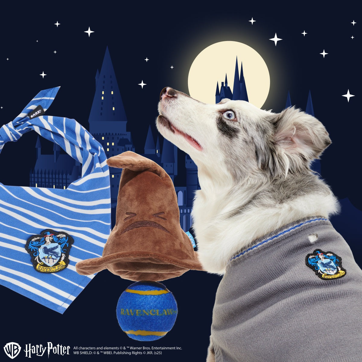 RavenclawTM Bundle